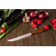 Cuchillo cocina 155mm Serie LATINA (6 unidades) ARCOS