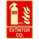 Señal extintor C02 PVC luminiscente 210x300mm 